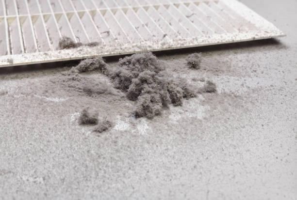 Best Air Duct Cleaning Company Near Me  in Langley, WA
