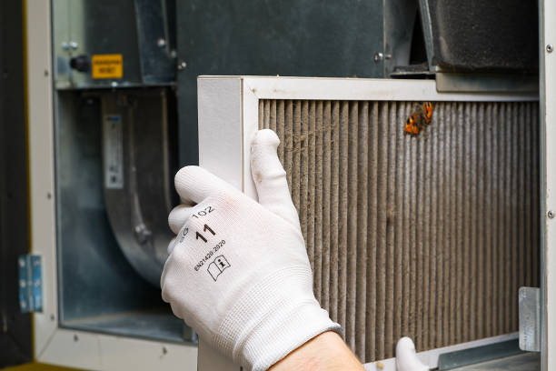 Best Affordable Air Duct Cleaning  in Langley, WA