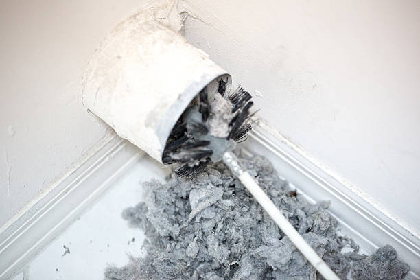 Best Home Air Vent Cleaning  in Langley, WA